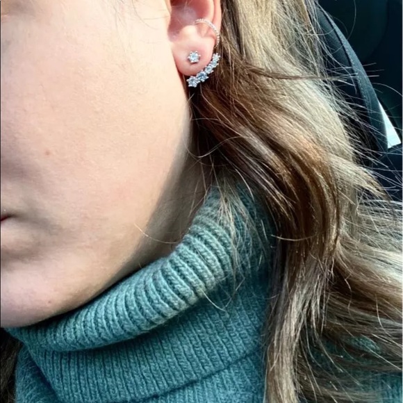 Sterling Silver Earrings - Picture 4 of 6